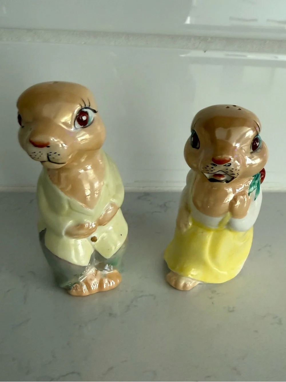 Ceramic Bunny Salt and Pepper Shaker Set
